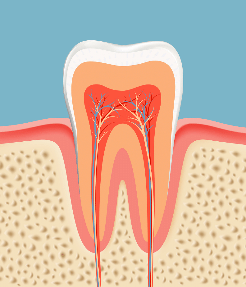 Treatment - dental397